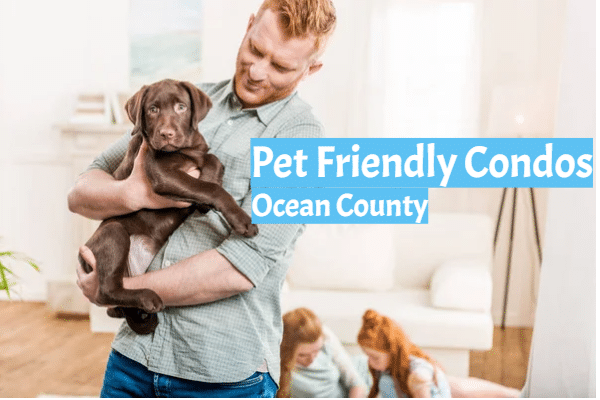 pet_friendly_ocean